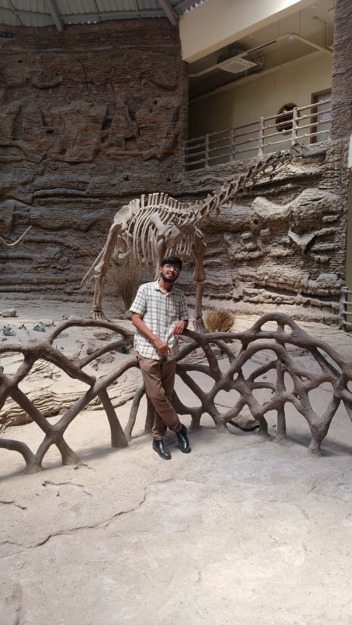 Fossile Park ,Rayoli